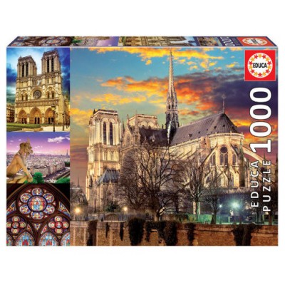 Educa Notre Dame Collage Puzzle rompecabezas 1000 pieza(s) (Espera 4 dias)