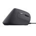 RATON TRUST BAYO II WIRED BK