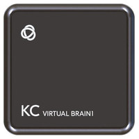 KRAMER CONTROL - HW ONLY HARDWARE PLATFORM WITH 1 INSTANCE OF KRAMER VIRTUALBRAIN GEN2- KC-VIRTUALBRAIN1(GEN2) (30-00022790) (Espera 4 dias)