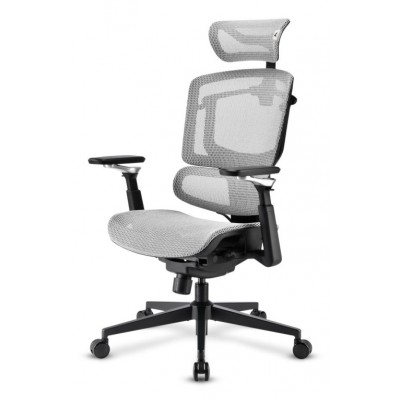 SILLA SHARKOON OFFICEPAL C50M NEGRA