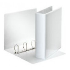 CARPETA PERSONALIZABLE PVC 2 BOLSILLOS ANILLAS 2-25 MM. FORMATO A4 COLOR BLANCO ESSELTE 49737 (MIN10) (Espera 4 dias)