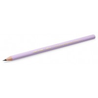 LAPIZ GRAFITO HB PASTEL BIC 518307 (Espera 4 dias)