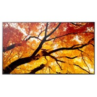 Sharp MultiSync M432 Pantalla plana para se&ntilde;alizaci&oacute;n digital 108 cm (42.5") LCD 550 cd / m&sup2; 4K Ultra HD Negro (Espera 4 dias)