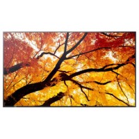 Sharp MultiSync M752 Panel plano interactivo 189,2 cm (74.5") LED 550 cd / m&sup2; 4K Ultra HD Negro 24/7 (Espera 4 dias)