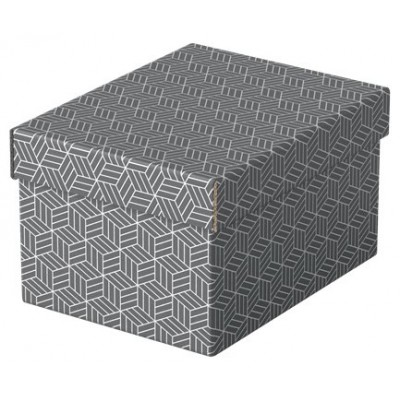 PACK 3 CAJAS GRISES 255X200X150MM ESSELTE 628281 (Espera 4 dias)