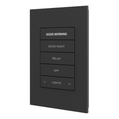 CRESTRON HORIZON 2 KEYPAD WITH CRESNET COMMUNICATIONS, CUSTOM ENGRAVED, BLACK (HZ2-KPCN-B ENGRAVED) 6513081 (Espera 4 dias)