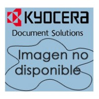 KYOCERA Seguridad Data Security Kit(E) AC