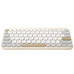 ASU-TEC MARSH KW100 BG