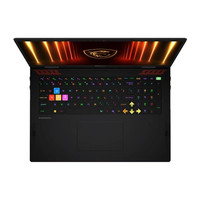 MSI Raider A18HX-090XES AMD R9 32 2TB 5080 DOS 18"