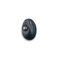 RATON INALAMBRICO TRACKBALL RECARGABLE  TB550 PROFIT ERGO NEGRO-PLATA KENSINGTON K72196WW (Espera 4 dias)