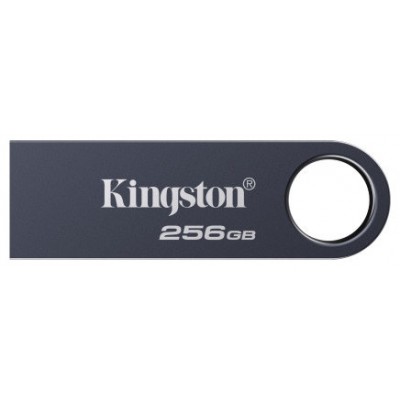 MEMORIA KINGSTON-JETFLASH SE9 G3 GY 256GB