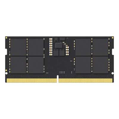 Lexar LD5S08G56C46ST-BGS m&oacute;dulo de memoria 8 GB 1 x 8 GB DDR5 262-pin SO-DIMM (Espera 4 dias)