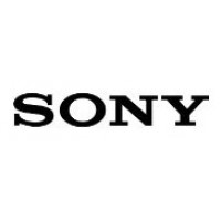 SONY 8HRS ENGINEERING RESOURCE (PSP.CET.ENG-DAY.1) (Espera 4 dias)