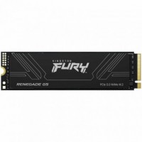Kingston Technology 2T FURY RENEGADE G5 M.2 2280 NVMe SSD (Espera 4 dias)