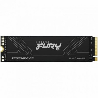 Kingston Technology 2T FURY RENEGADE G5 M.2 2280 NVMe SSD (Espera 4 dias)